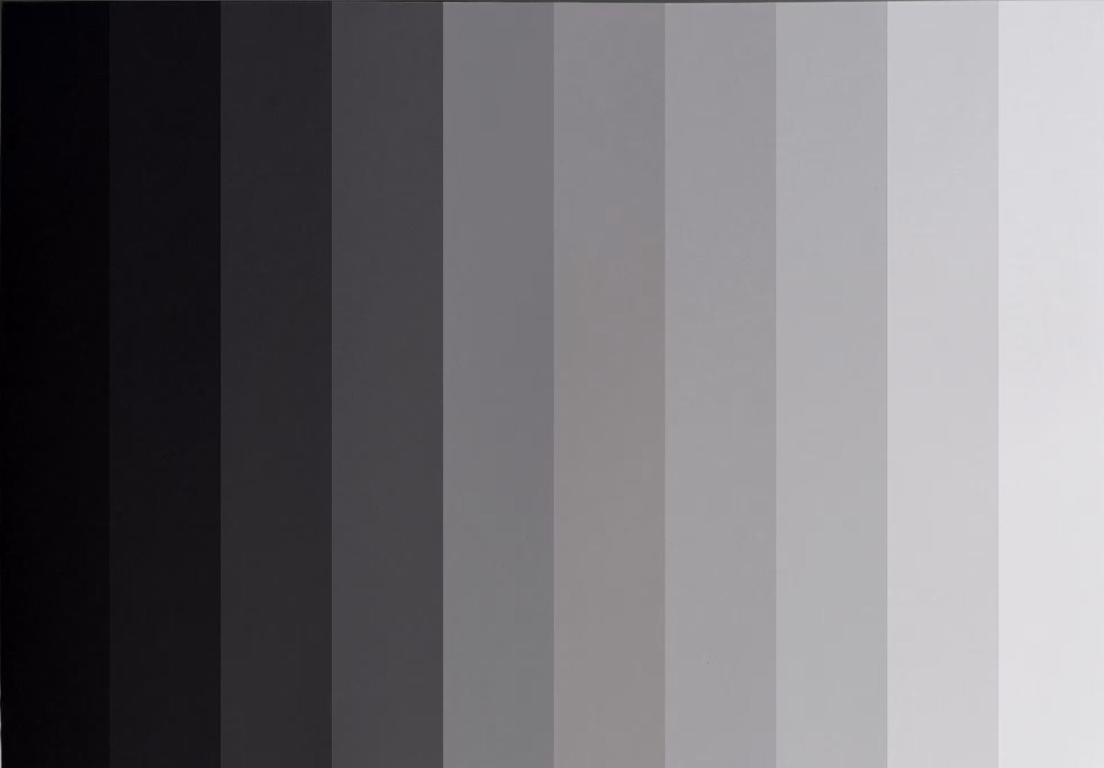 Monoform Color Monochrome Meeting-Monochrome Meeting