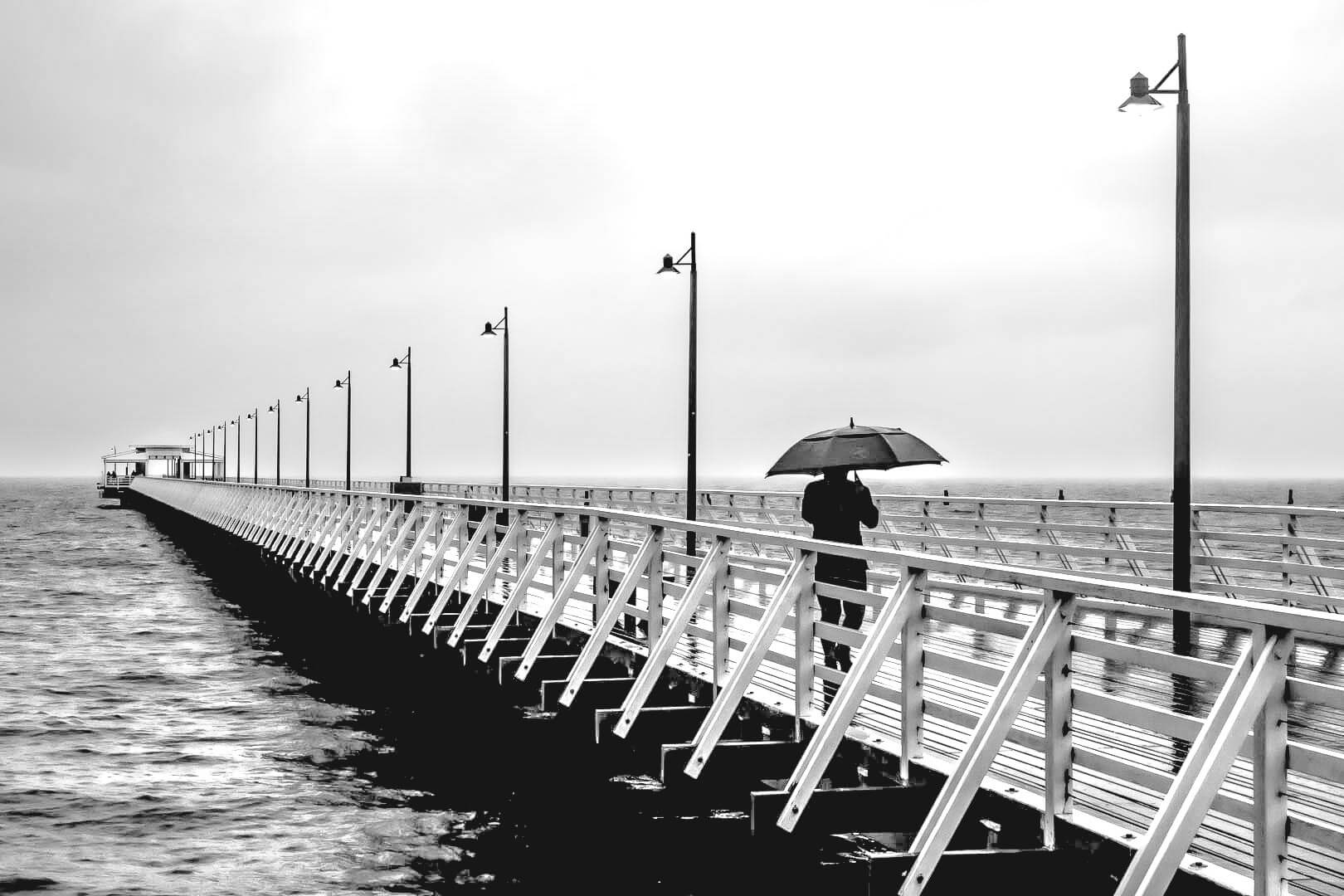 1st For Digital  Peering Into The Gloom By John Langer