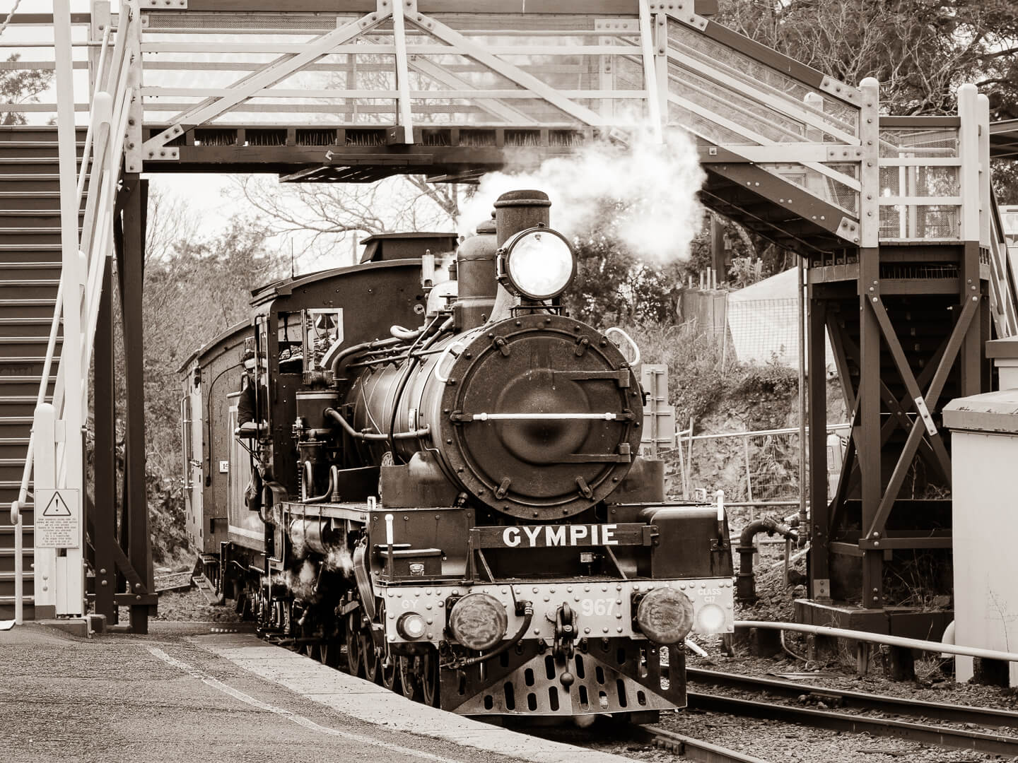 2nd For Print  The Mary River Rattler Returns By Hector Beveridge