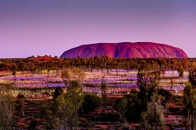 Merit For Field Of Lights In Uluru At Sunset By Swarna Wijesekera
