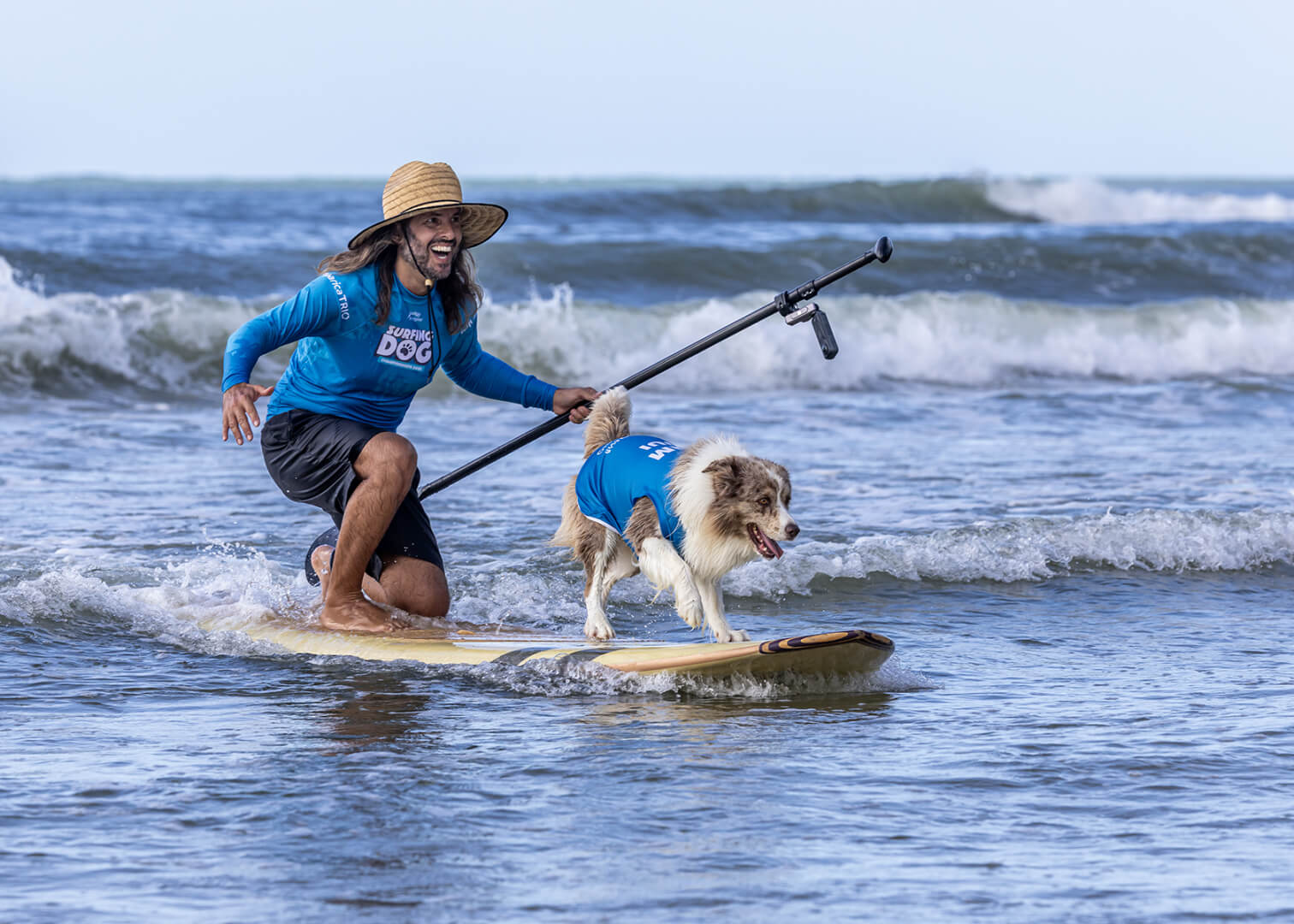 Honour For Print Go Team Loui! By Joyann Singleton
