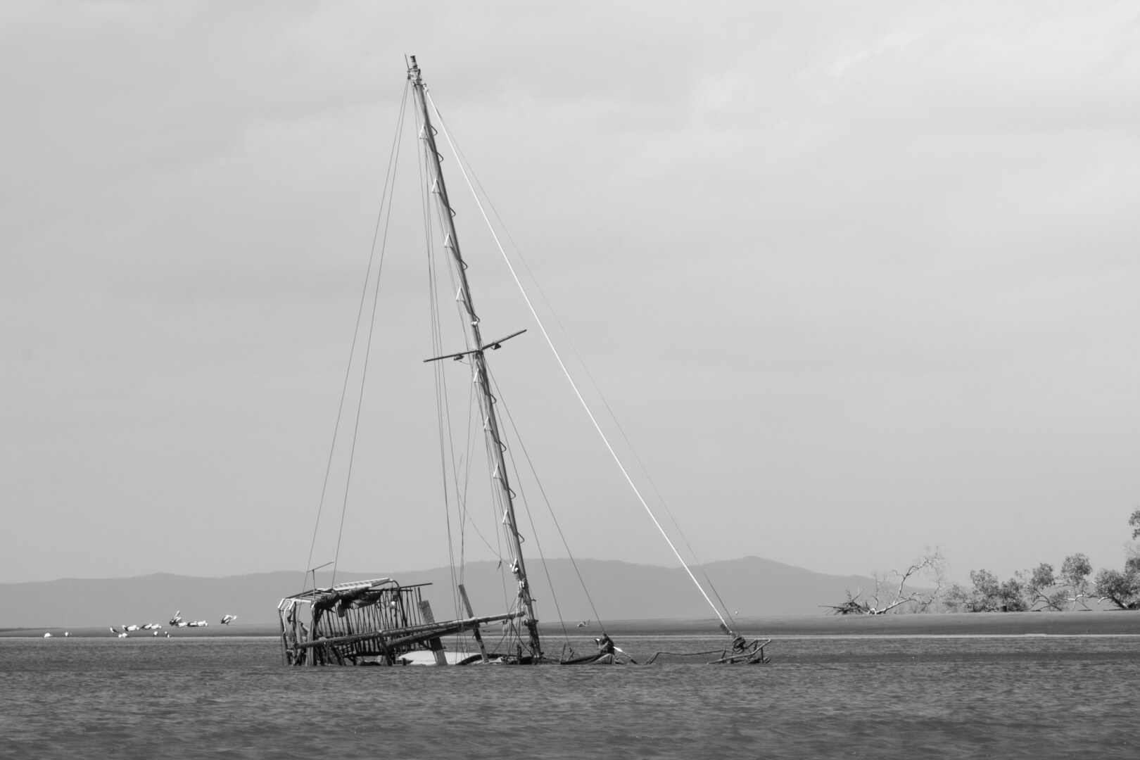 Merit For Digital Last Mooring By Heidi Wallis