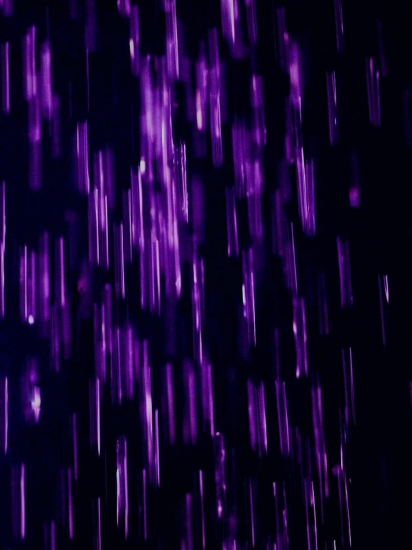 Merit For Purple Rain By Trudi Aykens
