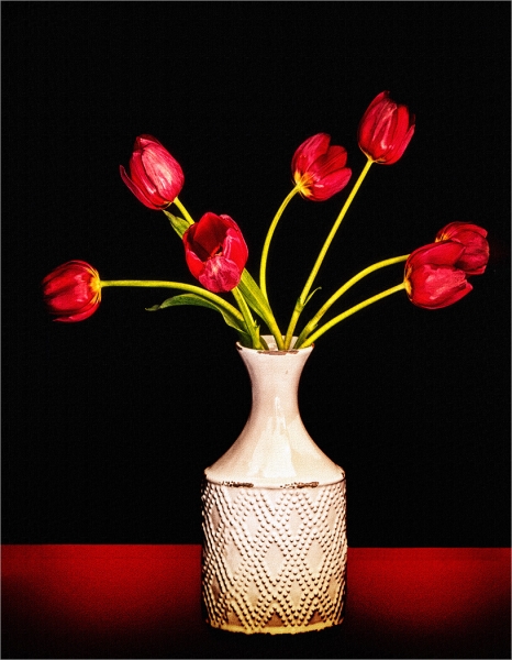 Merit For Tulips In A Vase By Dianne Osborne