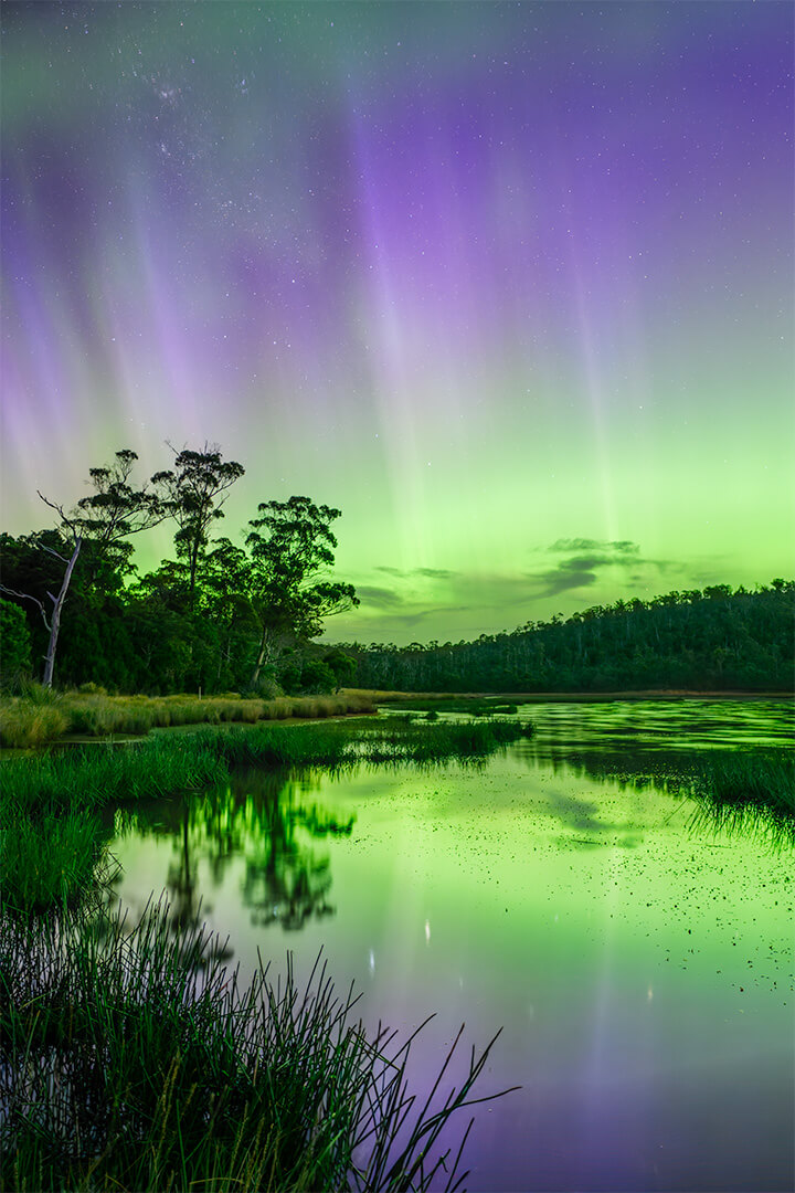 Honour For Digital Aurora Australis By Jefferey Mott