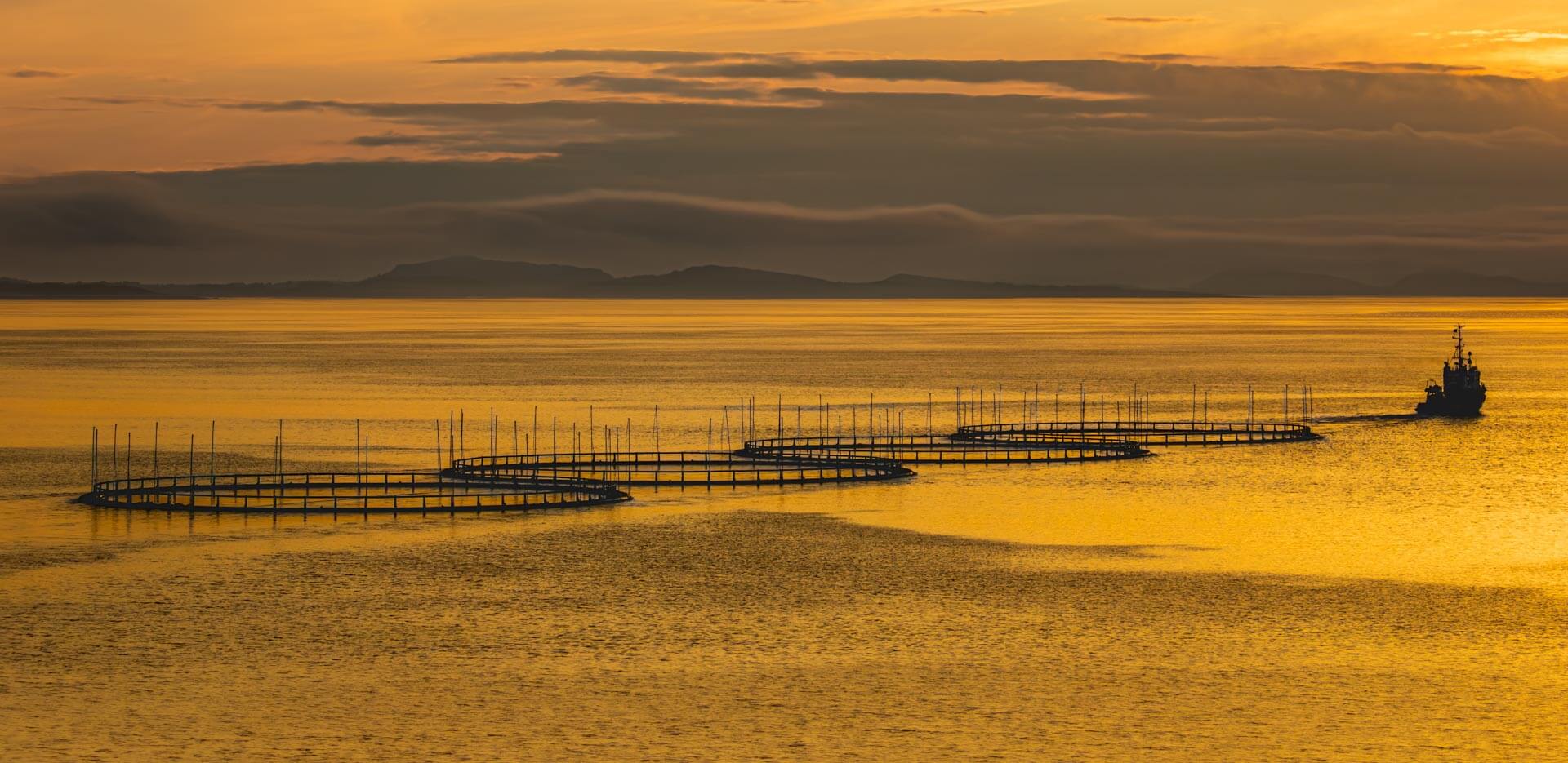 Merit For Print Day Ends On A Norwegian Fjord Farm By John Langer