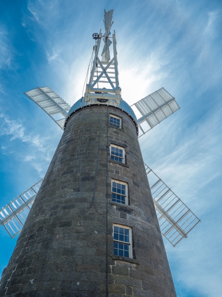 Merit For Windmill By Margaret Duncan