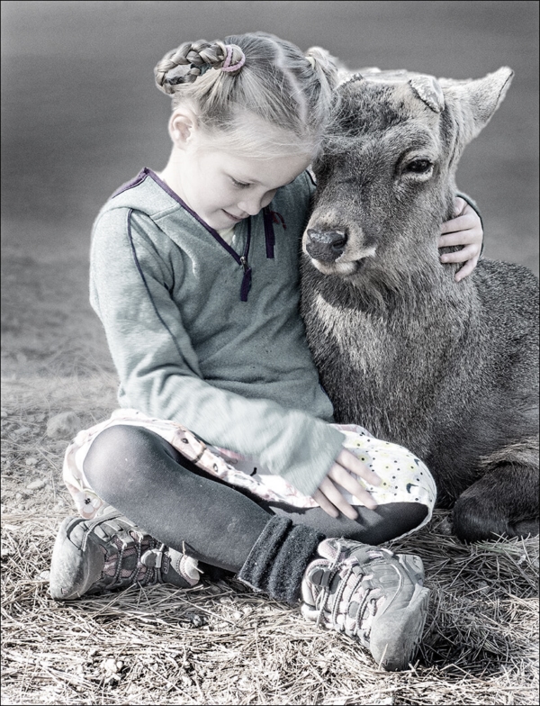 Merit For Oh Deer By Cheryl Zwart