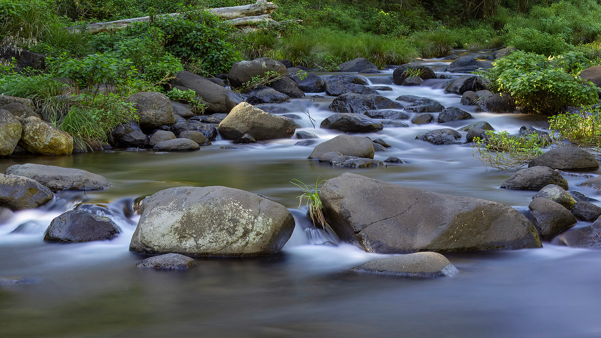 Honour For Digital Rocky Stream By Liann Haaima