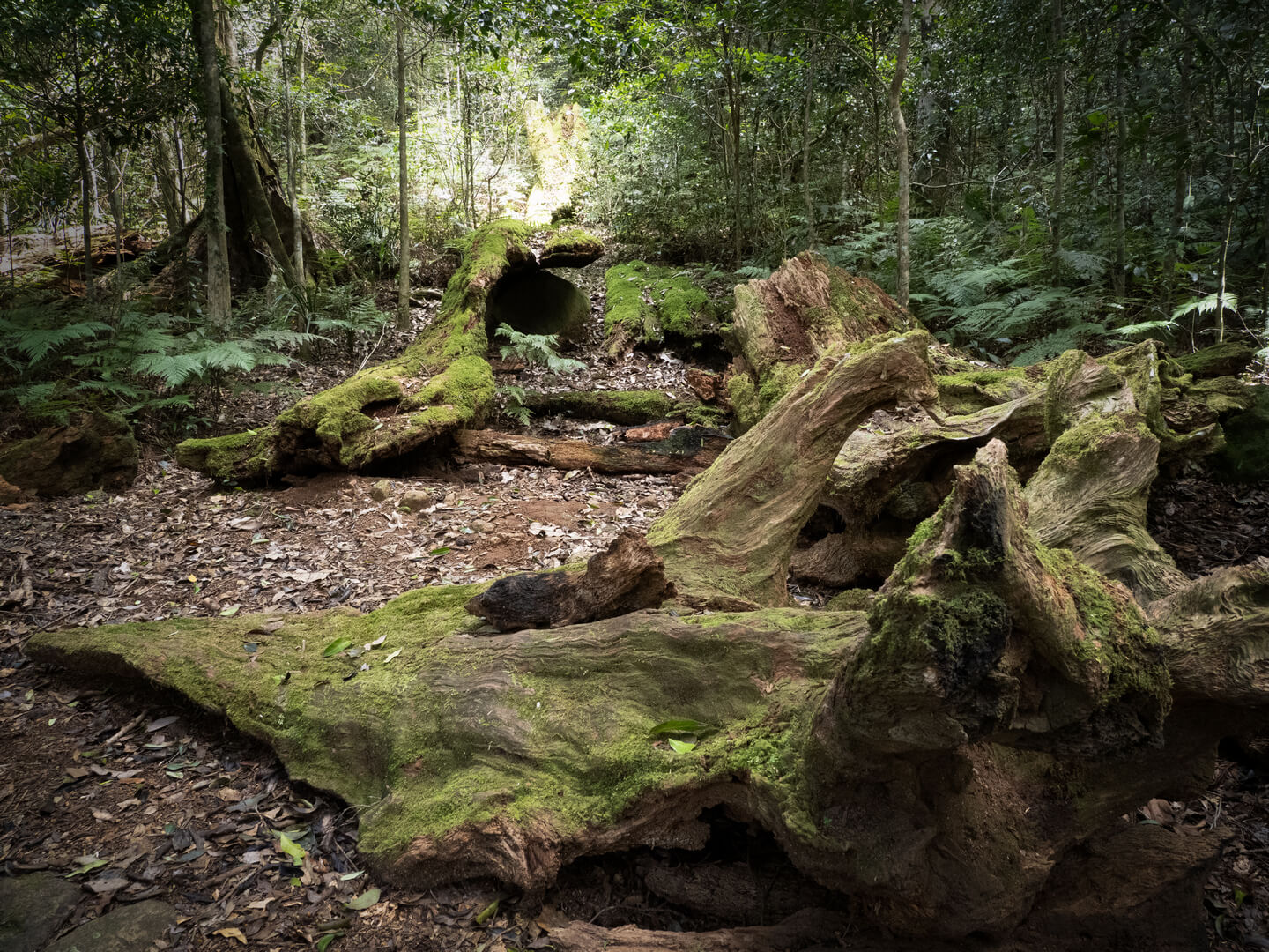 Honour For Print OReilies By Margareta Dewilde