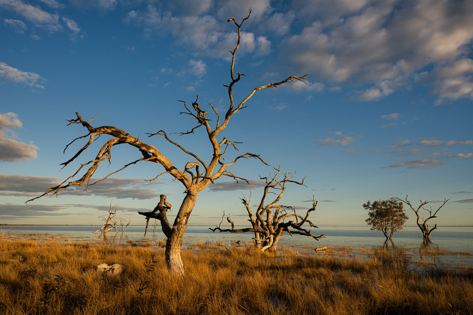Honour For Print Victims Of The Dams By Alan Wigginton