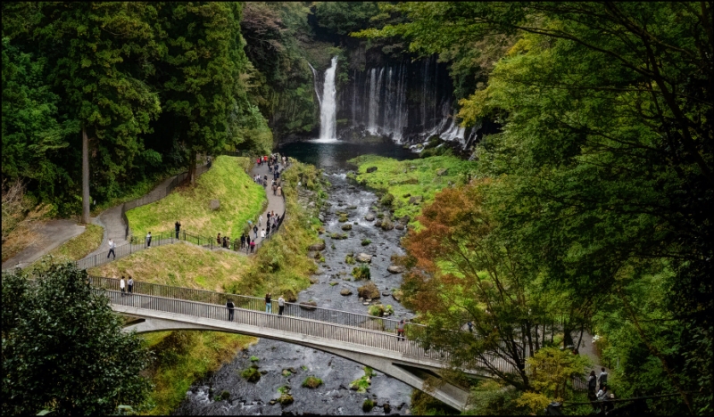Merit For Waterfall Walk By Cheryl Zwart