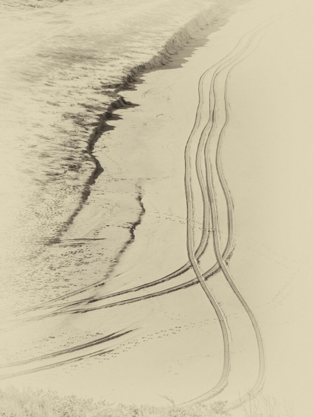 Merit For Tracks In The Sand By Rosslyn Garnett