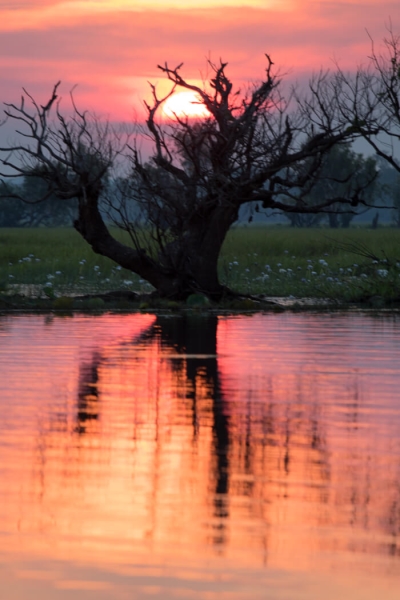 Merit For Sunset Over Corroboree Billabong By Lee Dixon