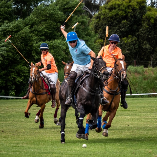 Merit For Polo Charge By Hector Beveridge