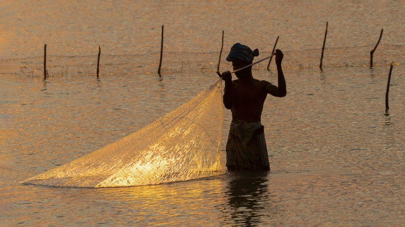 Honour For Digital Fisherman At Dawn 2 By Lekha Suraweera