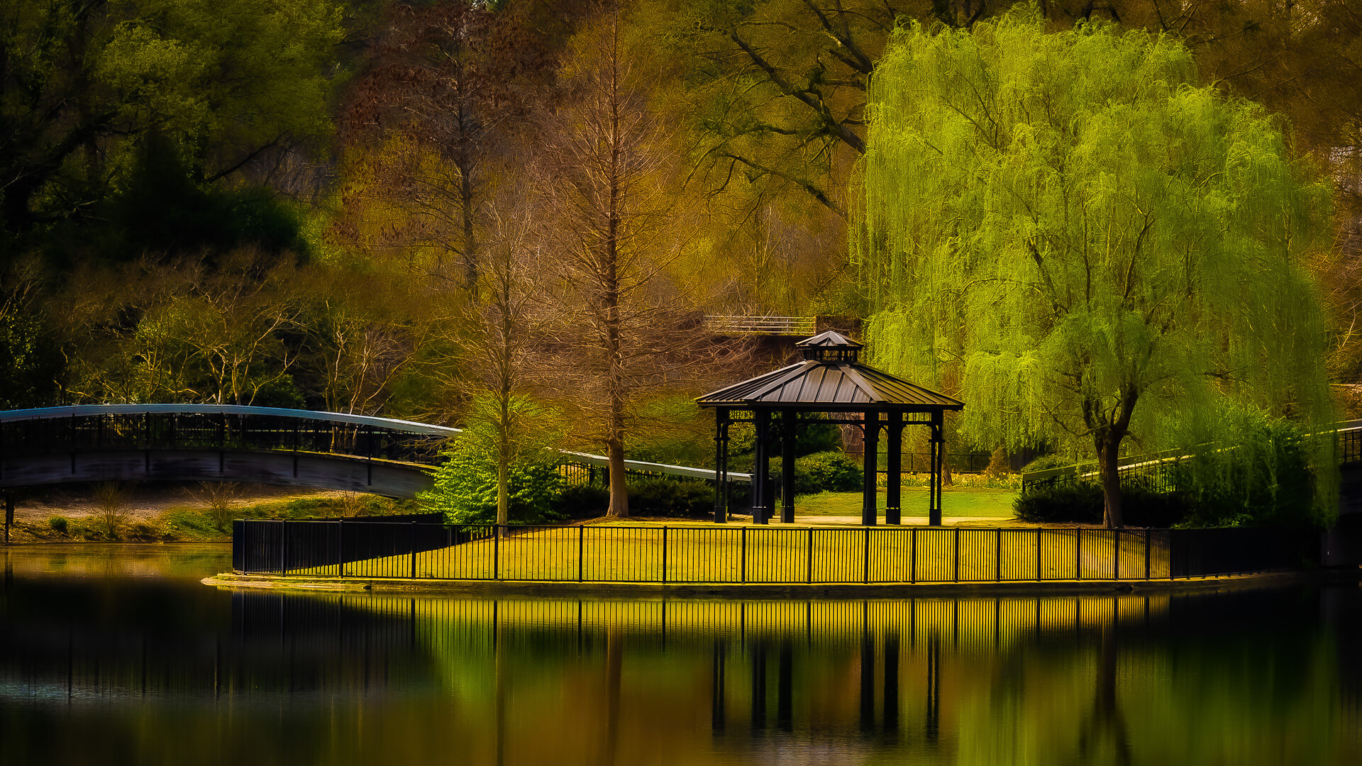 Honour For Digital Sanctuary At Waters Edge By Rick Nelson