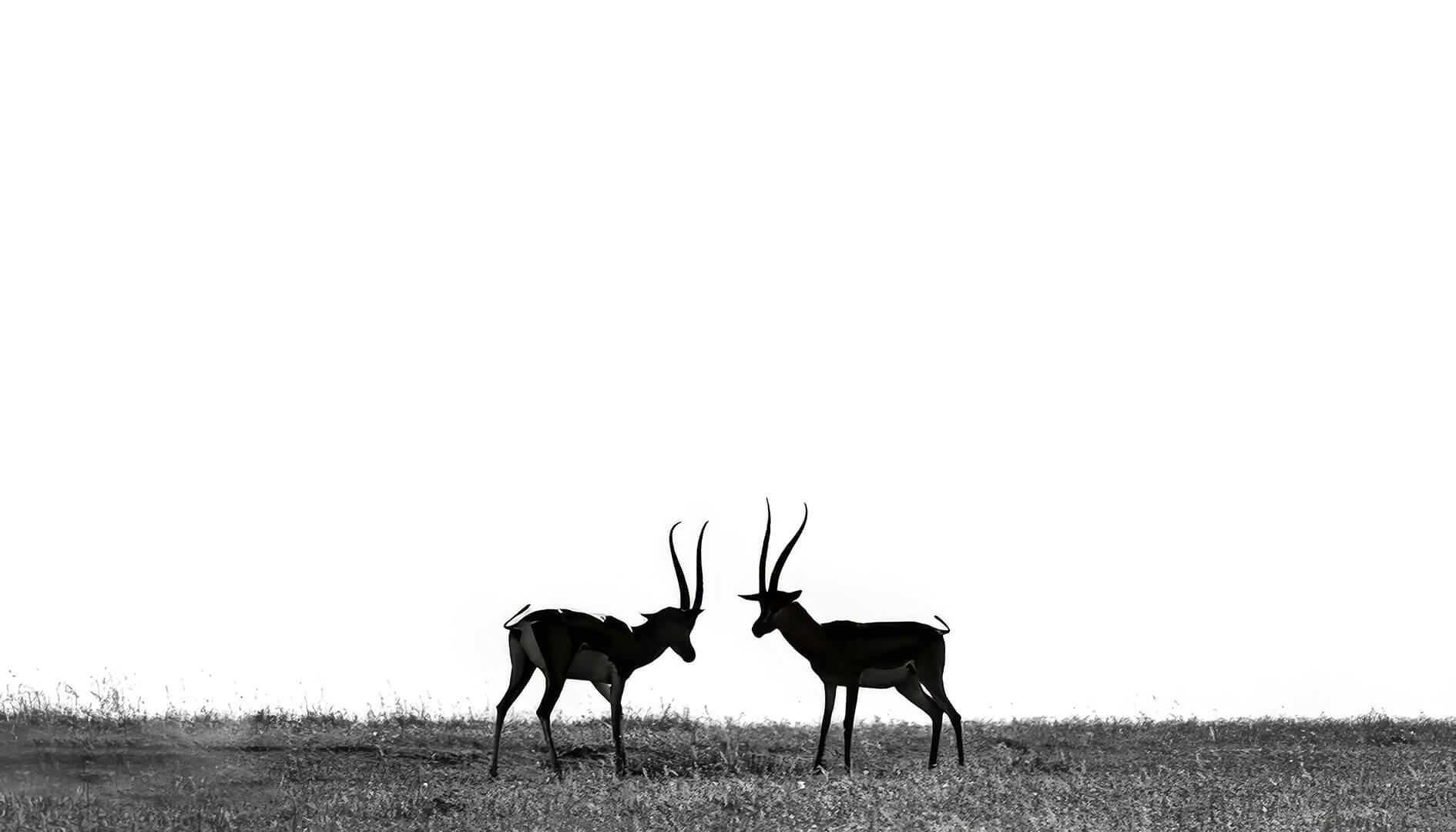 Merit For Digital Lets Elope By Bhaskar Desha