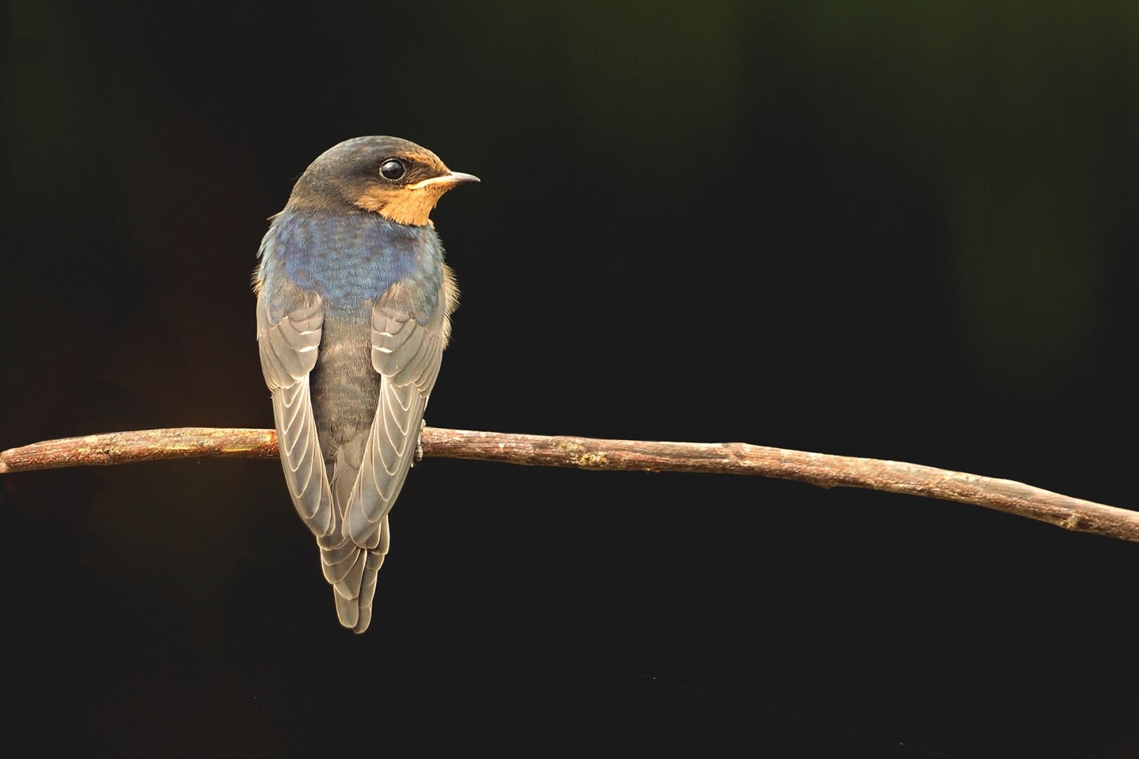 Merit For Print C65 This Is All My Space  By 