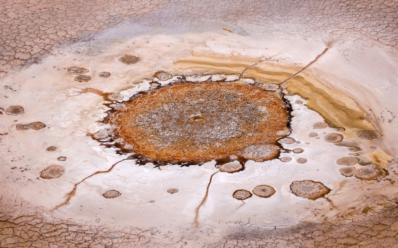 Honour For Lake Eyre Hot Springs Two By Ann Smallegange