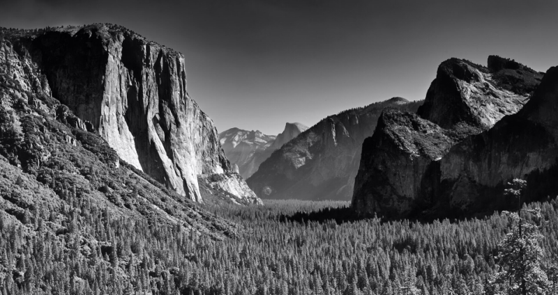 Honour For Yosemite Valley By Tony Rush