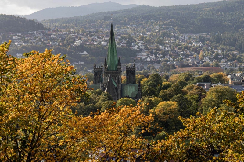 Merit For Trondheim Nidaros Cathedral By Lee Dixon