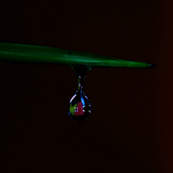 Merit For Digital Almost, Water Droplet In Low Key  DSCF5416 By Robert Vallance