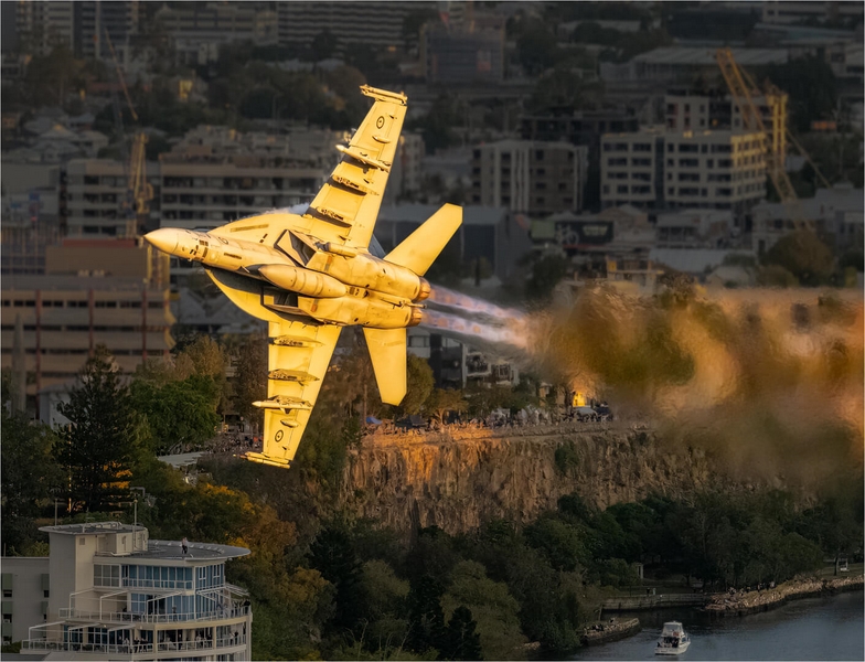 Merit For Digital Low Flying Hornet By Paul MacKay