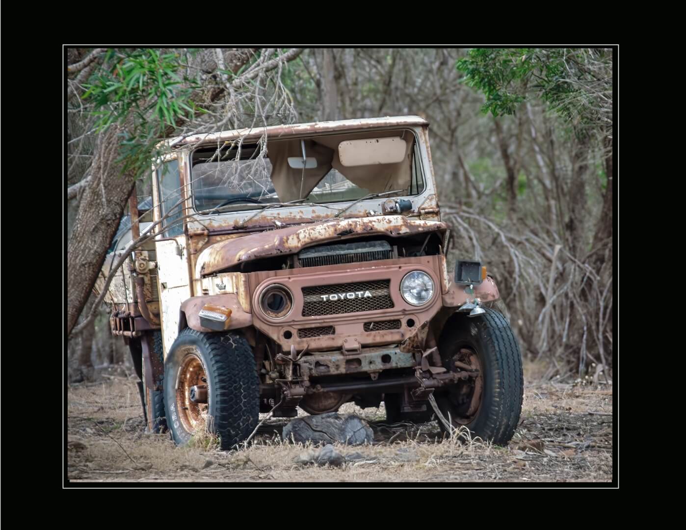 Merit For Digital Repose By Wendy Buick