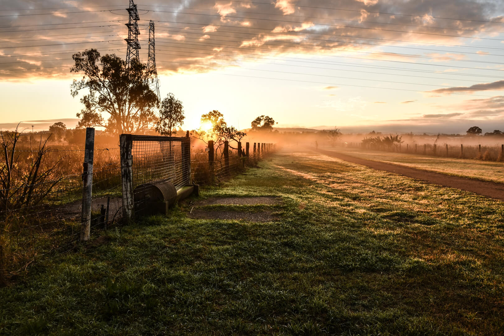 Merit For Print MORNING GLOW By Gwenda Kruger