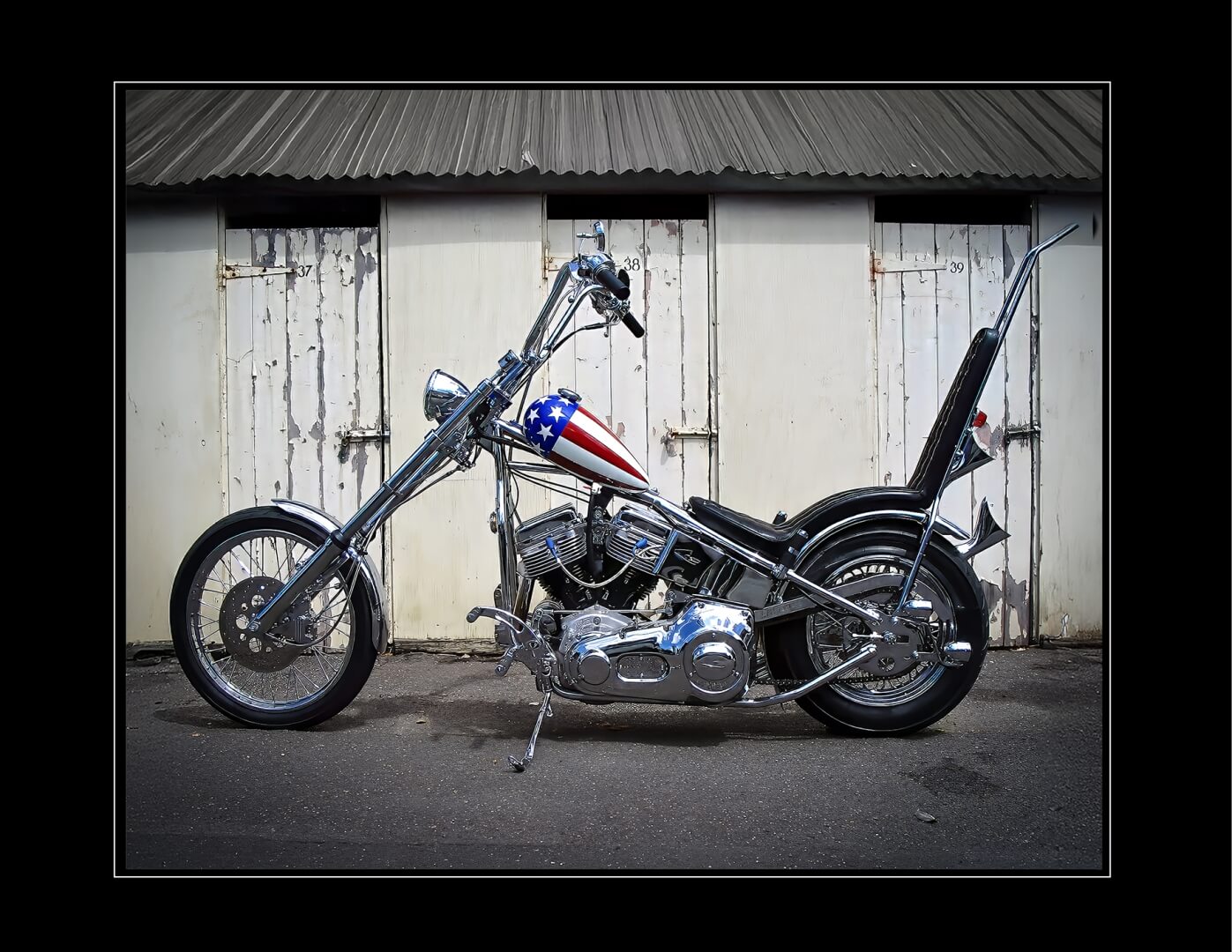 Merit For Print Easy Rider By Wendy Buick