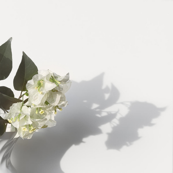Merit For Digital Flowers Vase  Space By Michael Keenan