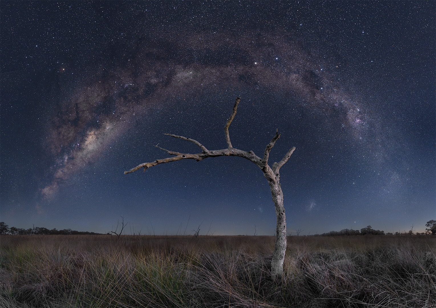 Honour For Digital Milky Way Over Kow Swamp By Jefferey Mott
