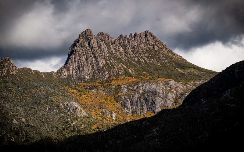 Merit For Digital Cradle Mtn With Yellow Fagus By Rose Parr