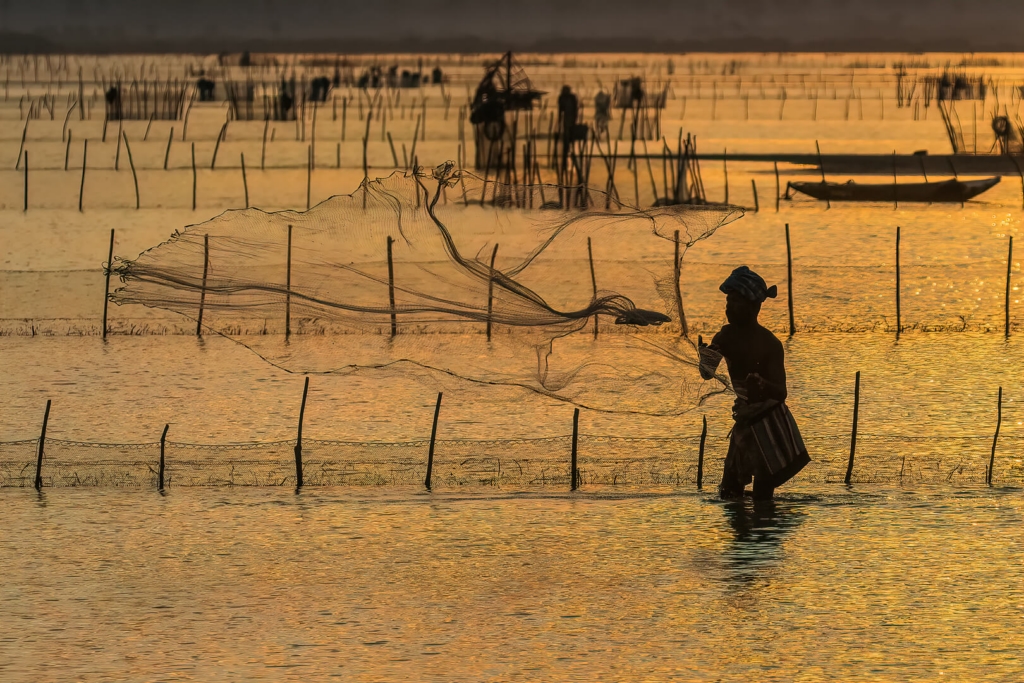 Merit For Digital Fisherman At Dawn By Lekha Suraweera