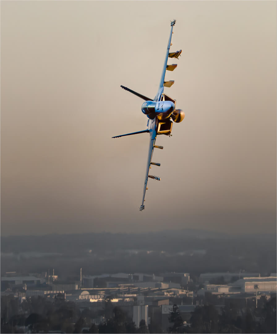 Honour For Print Flying Vertical By Paul MacKay