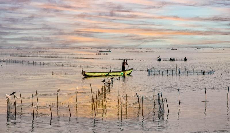 Merit For Digital Fishing At Dawn By Lekha Suraweera