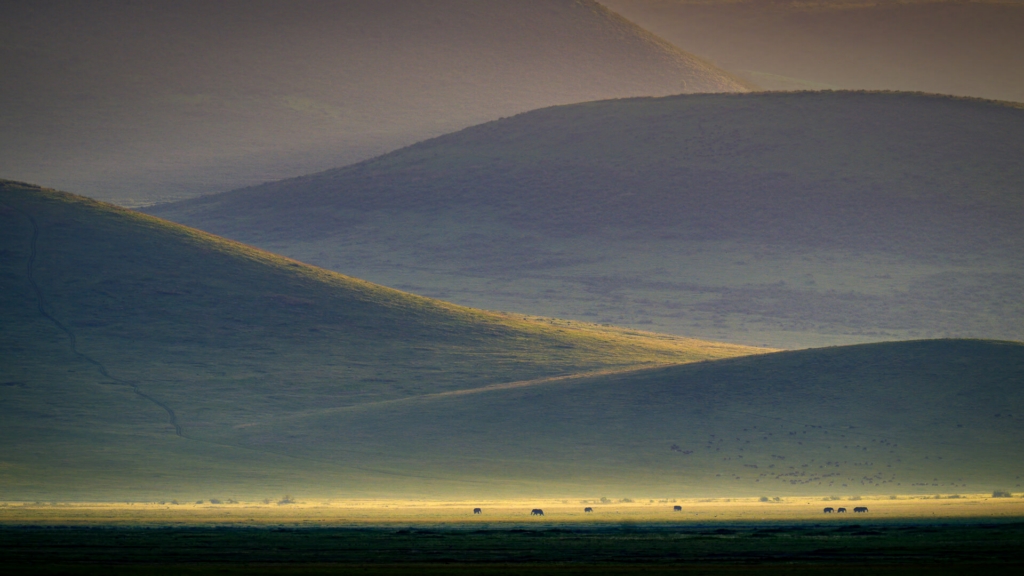 Honour For Digital Sunrise Inside Ngorongoro Crater By Geoffrey Hui