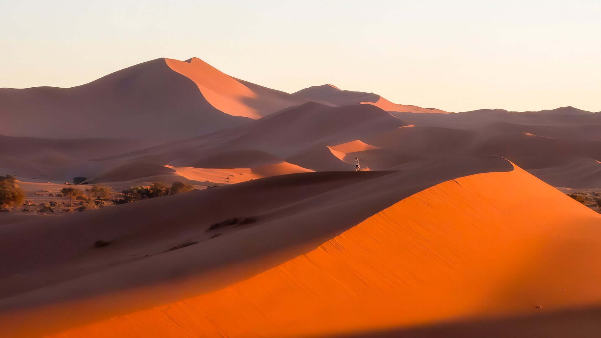 Honour For Digital Sossusvlei Dunes By Dorothy Harkins