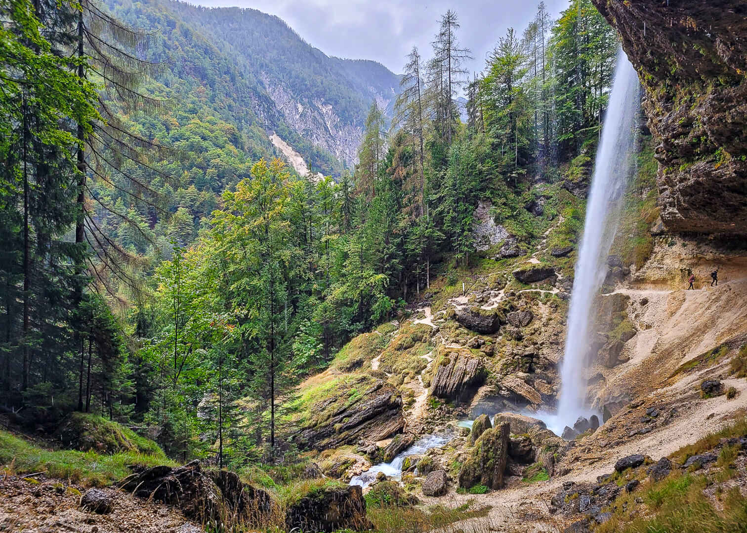 Merit For Print Slovenian Countryside By Dorothy Harkins