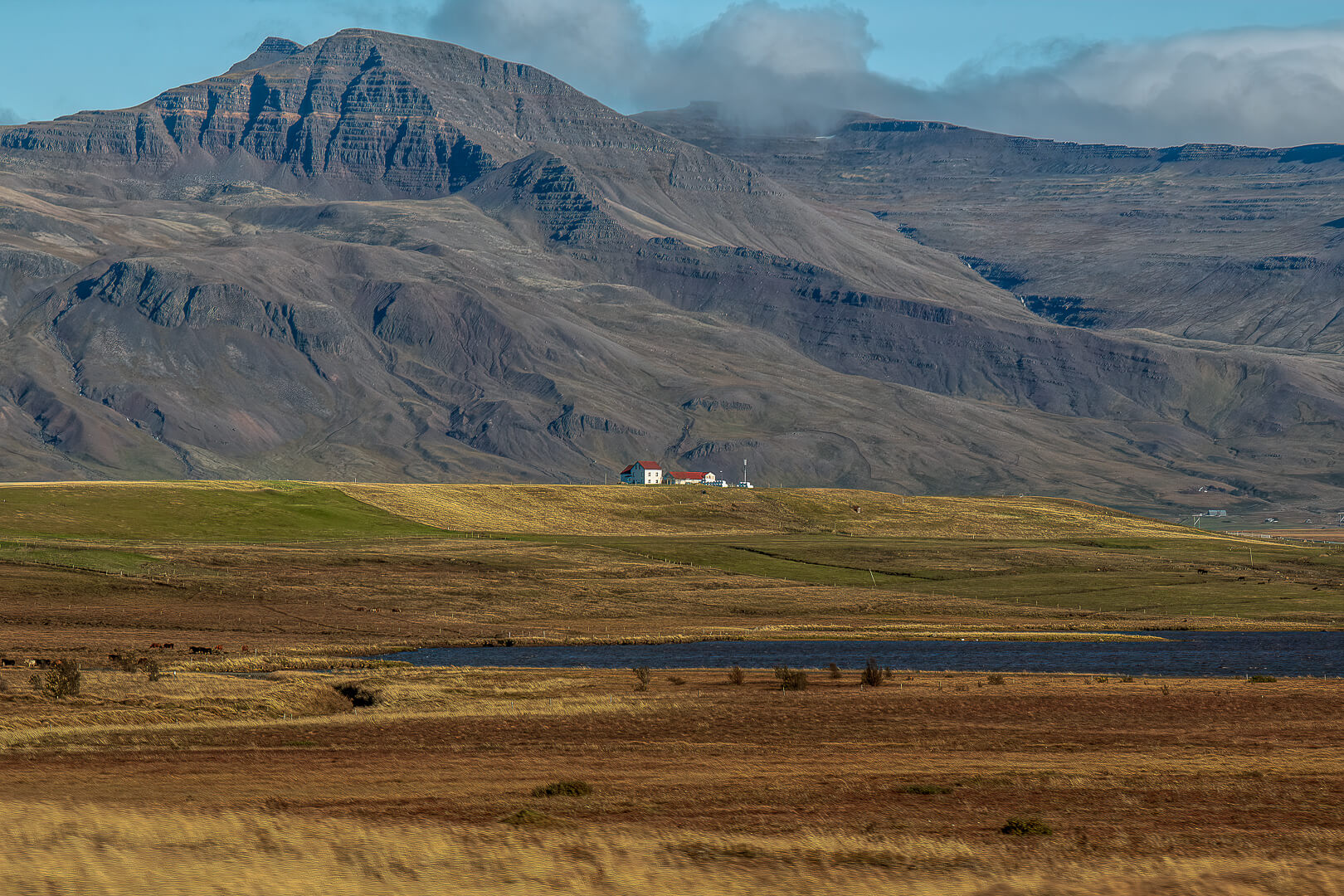 Honour For Digital A House In The Wilderness    By Swarna Wijesekera