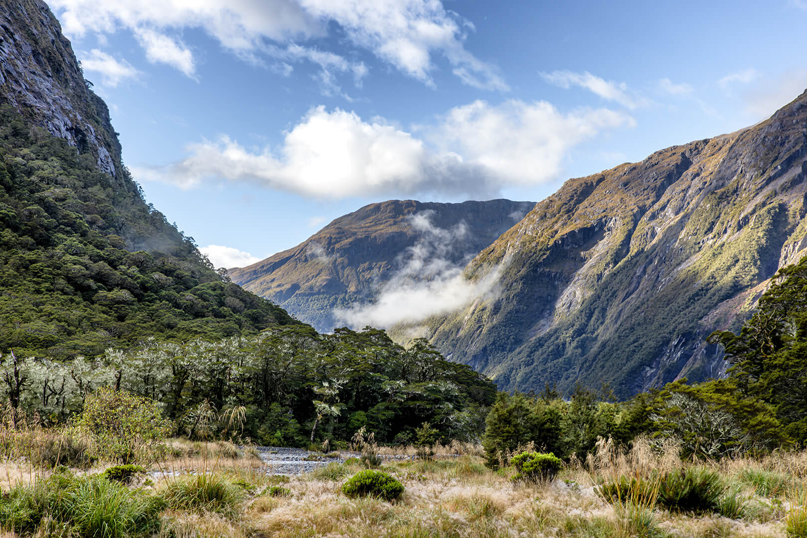Merit For Print C79 Eglinton Valley Jpeg By Rosslyn Garnett