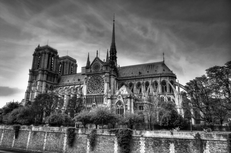 Merit For Notre Damme By Tony Rush