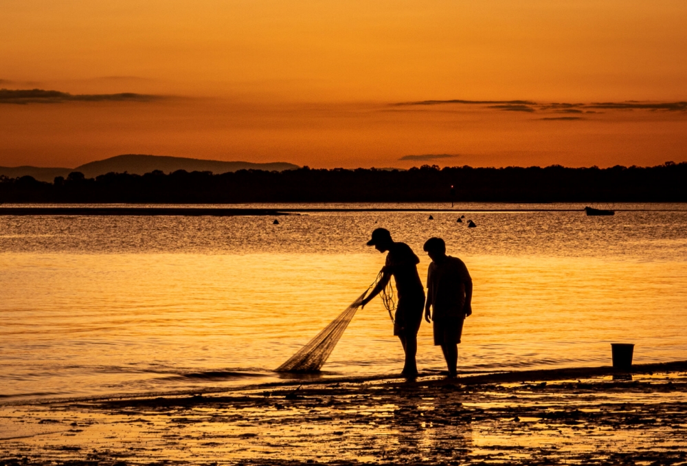 Honour For Digital Sunset Net Fishing By Hazel Sempf
