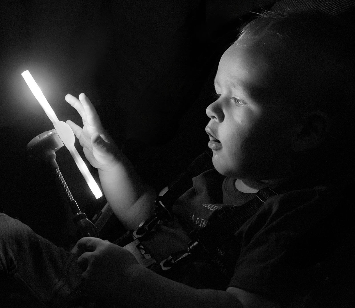 Merit For Digital Light Attracts By Alan Wigginton
