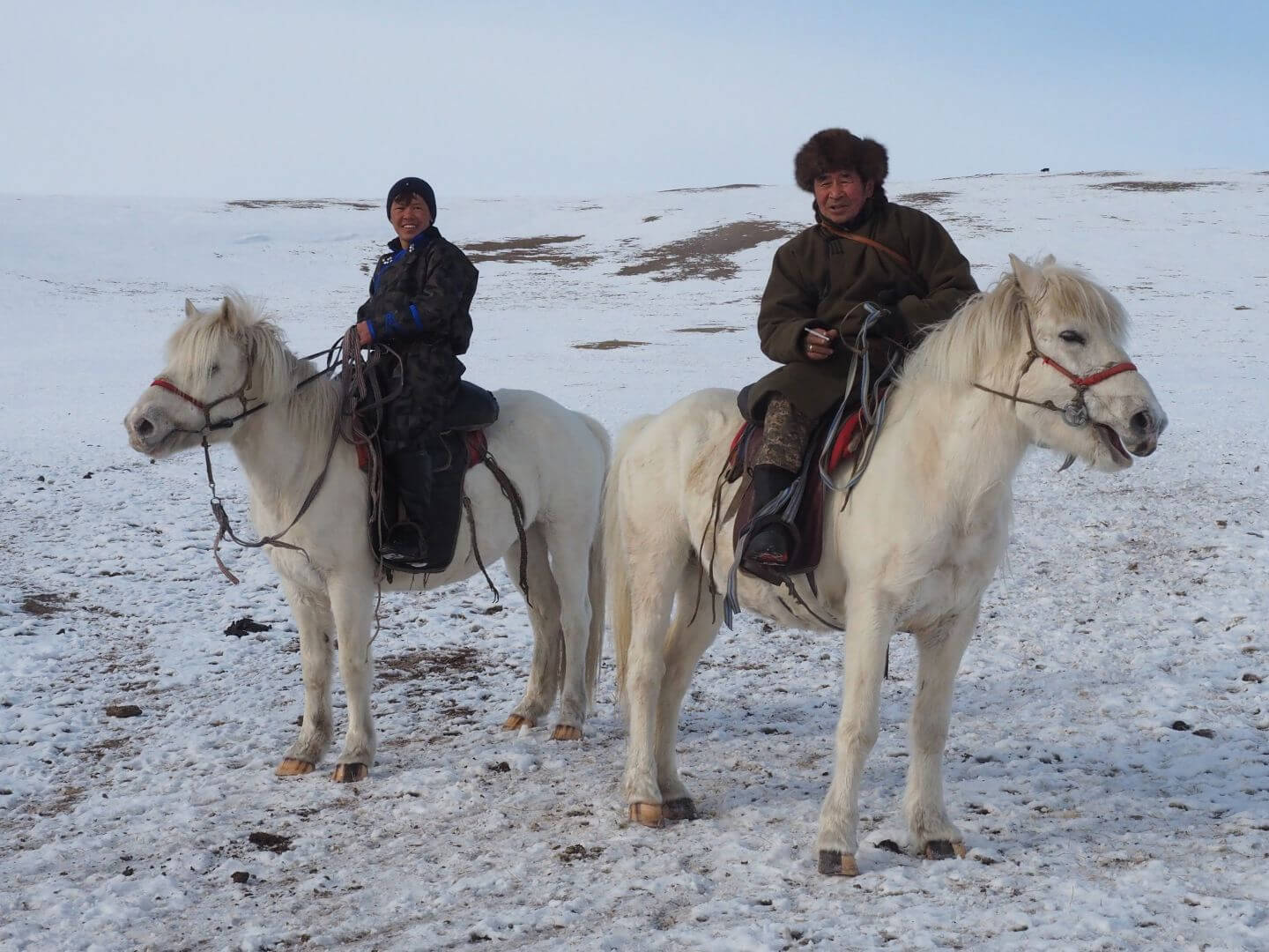 Merit For Digital Mongolian Whites Horse Riders By Margaret Kemmery