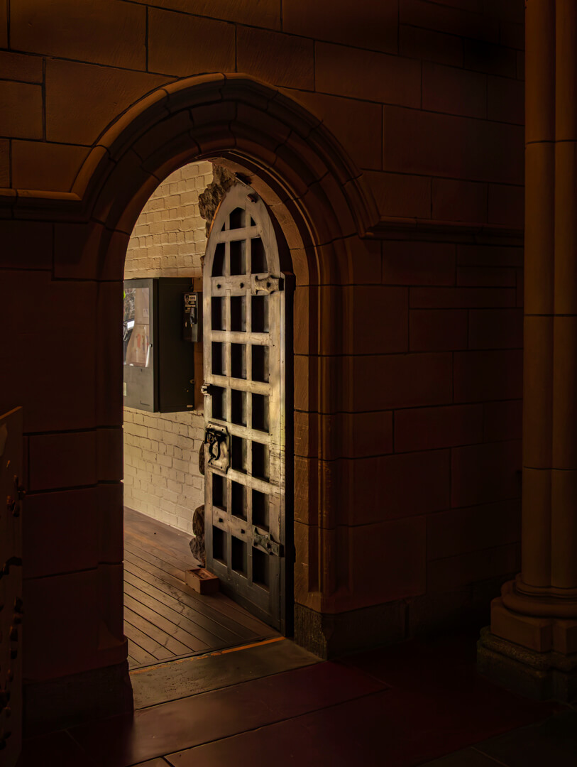 Merit For Print Open To The Light By Joni Keenan