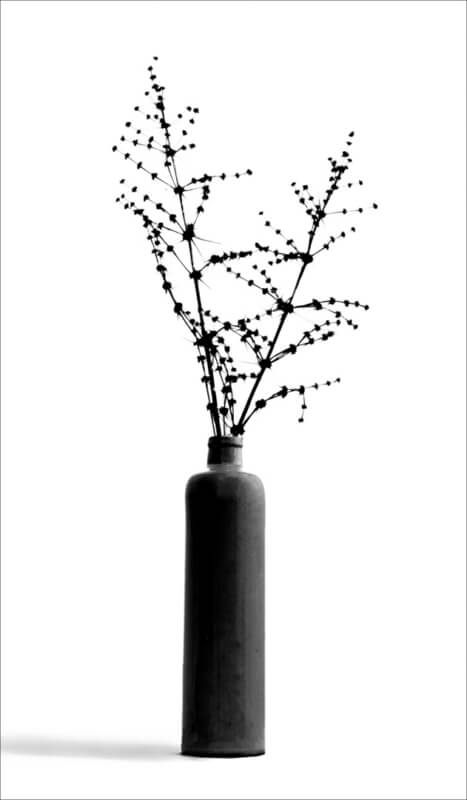 Merit For Digital 42  Stems In A Bottle  By Suzanne Edgeworth