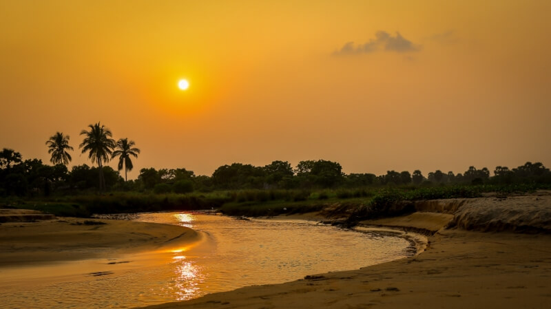 Merit For Digital Gold On The Water By Mangala Jayasekera