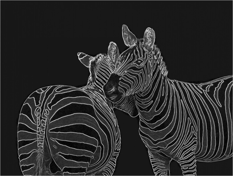 Merit For Digital Zebra Lovers New 1 By Sam Fernando